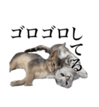 〇〇さんちのねこちゃん（個別スタンプ：12）