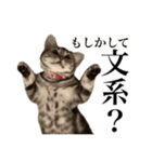 〇〇さんちのねこちゃん（個別スタンプ：16）