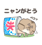 サマーカットにゃんこ チンチラペルシャ猫（個別スタンプ：9）