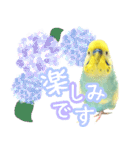 みやじゃきぴったくんのスタンプ（個別スタンプ：21）