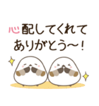 飛び出す！ねことシマエナガ 体調不良（個別スタンプ：24）