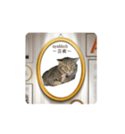 にゃんのか？？〜絶幸調〜（個別スタンプ：11）