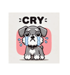 かわいいシュナウザー犬のLINEスタンプ（個別スタンプ：9）