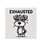 かわいいシュナウザー犬のLINEスタンプ（個別スタンプ：13）