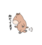 うまがお②（個別スタンプ：11）