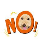 うちの愛犬。1（個別スタンプ：2）