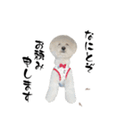 うちの愛犬。1（個別スタンプ：6）