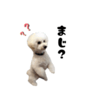 うちの愛犬。1（個別スタンプ：9）