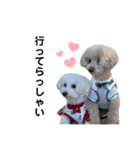 うちの愛犬。1（個別スタンプ：12）