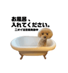 うちの愛犬。1（個別スタンプ：14）