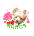 ジェイド2（個別スタンプ：1）