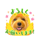 ジェイド2（個別スタンプ：6）