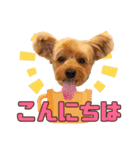 ジェイド2（個別スタンプ：10）