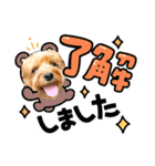ジェイド2（個別スタンプ：22）