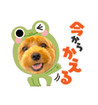ジェイド2（個別スタンプ：25）