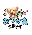 ジェイド2（個別スタンプ：27）