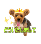 ジェイド2（個別スタンプ：34）