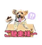 ジェイド2（個別スタンプ：35）