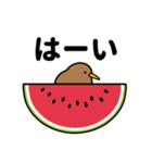 もっちりKIWI【トロピカル】（個別スタンプ：10）