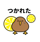 もっちりKIWI【トロピカル】（個別スタンプ：13）