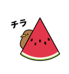 もっちりKIWI【トロピカル】（個別スタンプ：15）