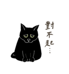 普通の黒猫（個別スタンプ：5）
