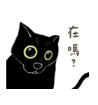 普通の黒猫（個別スタンプ：9）