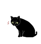 普通の黒猫（個別スタンプ：10）