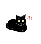 普通の黒猫（個別スタンプ：11）