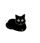 普通の黒猫（個別スタンプ：12）