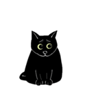 普通の黒猫（個別スタンプ：16）