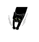 普通の黒猫（個別スタンプ：28）