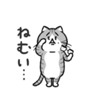 猫父さん ver.2（個別スタンプ：26）