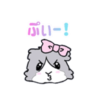 ぷぃぷぃスーちゃみ❤︎（個別スタンプ：19）