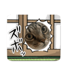 しんとこち（個別スタンプ：5）
