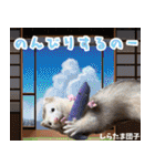 フェレズスタンプ⑧（個別スタンプ：1）