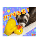 フェレズスタンプ⑧（個別スタンプ：8）