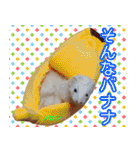 フェレズスタンプ⑧（個別スタンプ：23）