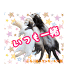 フェレズスタンプ⑧（個別スタンプ：33）