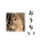 ねこの御言葉（個別スタンプ：8）