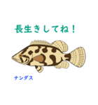 Tァの淡水魚スタンプ（個別スタンプ：8）