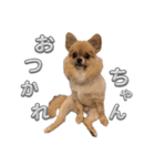 毎日ポテチに癒される2（個別スタンプ：1）
