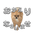 毎日ポテチに癒される2（個別スタンプ：2）