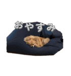 毎日ポテチに癒される2（個別スタンプ：3）