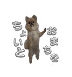 毎日ポテチに癒される2（個別スタンプ：4）