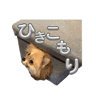毎日ポテチに癒される2（個別スタンプ：5）
