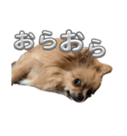 毎日ポテチに癒される2（個別スタンプ：6）