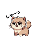 癒しの猫さんスタンプ（個別スタンプ：1）