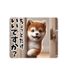 毎日使える柴犬さんのスタンプ（個別スタンプ：3）