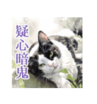 水彩猫さんのお気持ち（個別スタンプ：11）